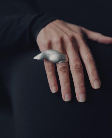 Wing Ring