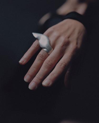 Wing Ring